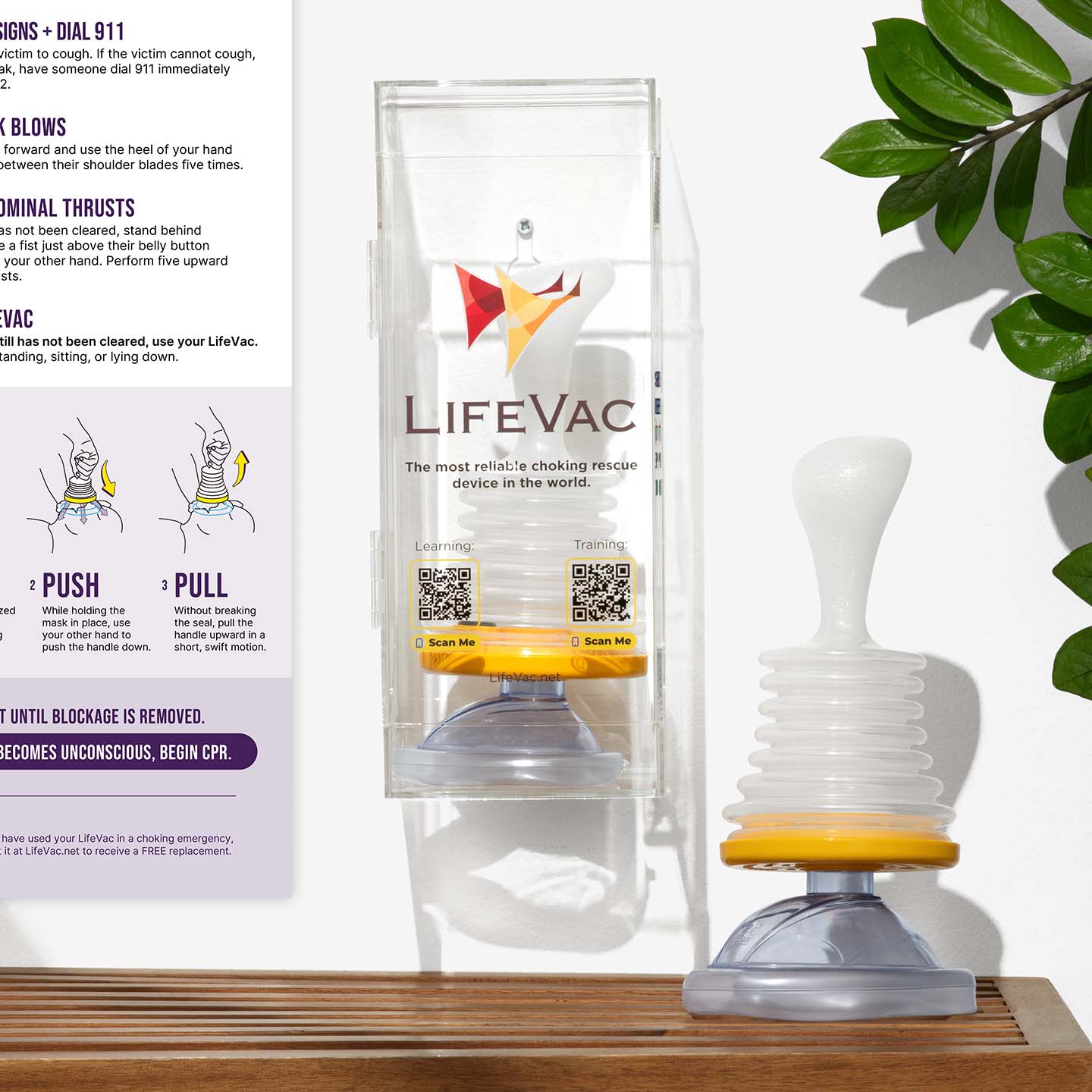 LifeVac Estojo Transparente